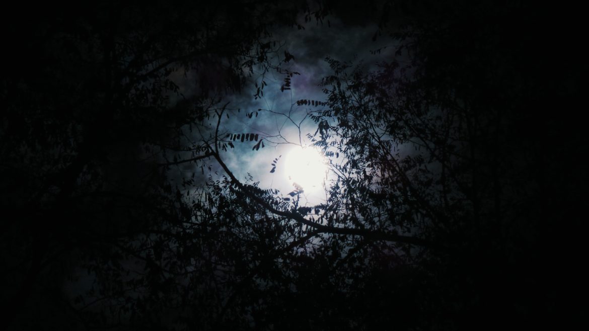 john-silliman-165707-unsplash